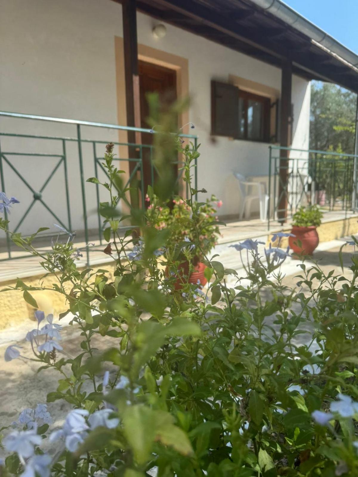 Studio Savvas Διαμέρισμα Μελίκια Εξωτερικό φωτογραφία