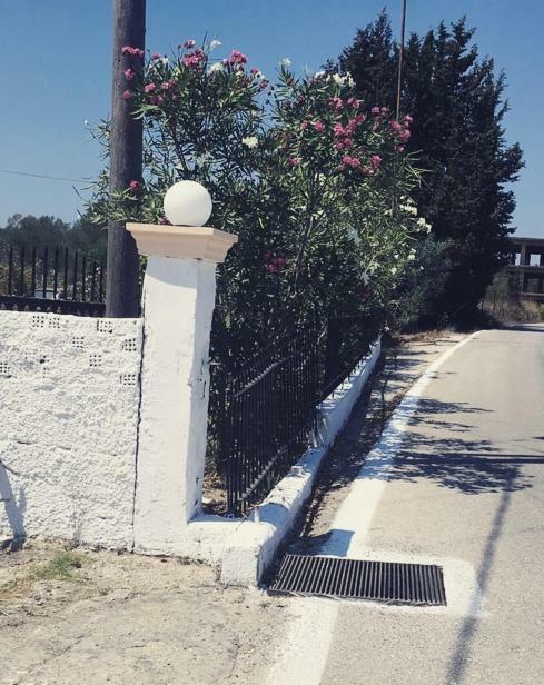 Studio Savvas Διαμέρισμα Μελίκια Εξωτερικό φωτογραφία