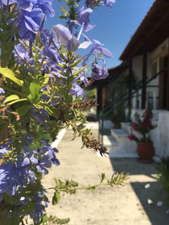 Studio Savvas Διαμέρισμα Μελίκια Εξωτερικό φωτογραφία